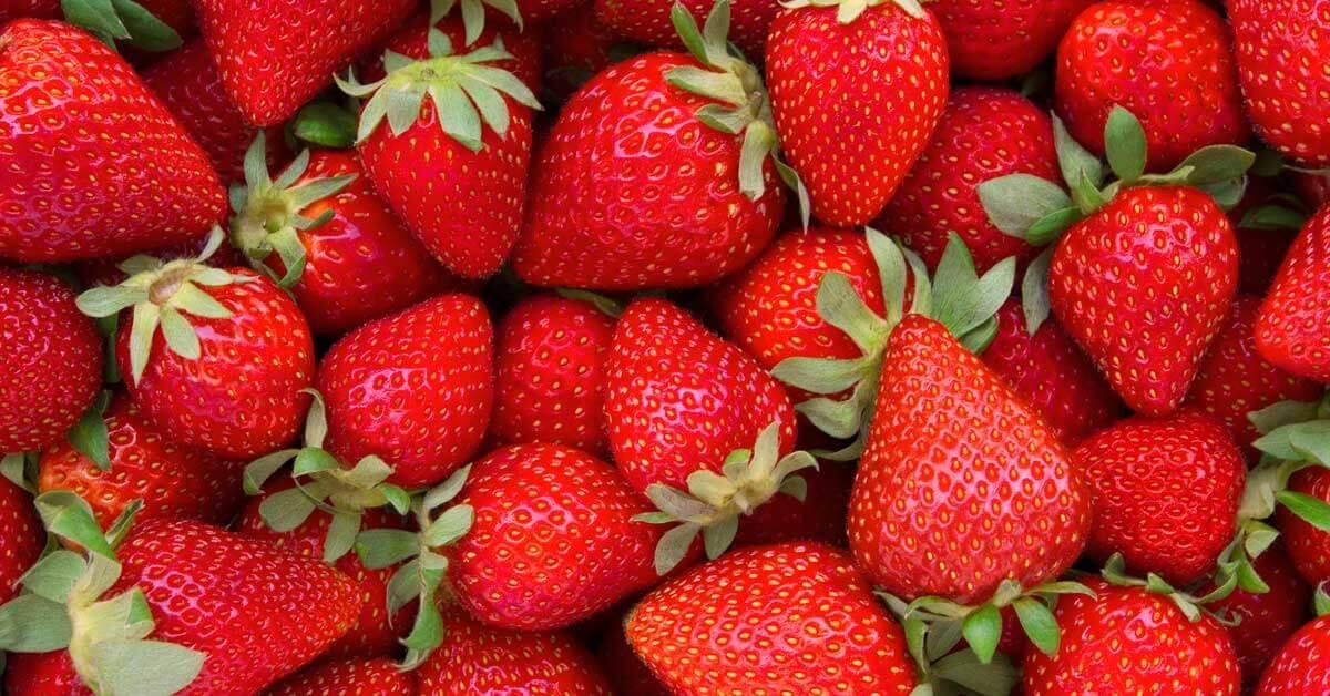 Nutritional Benefits of ‍Strawberries and Tips for Choosing the Best