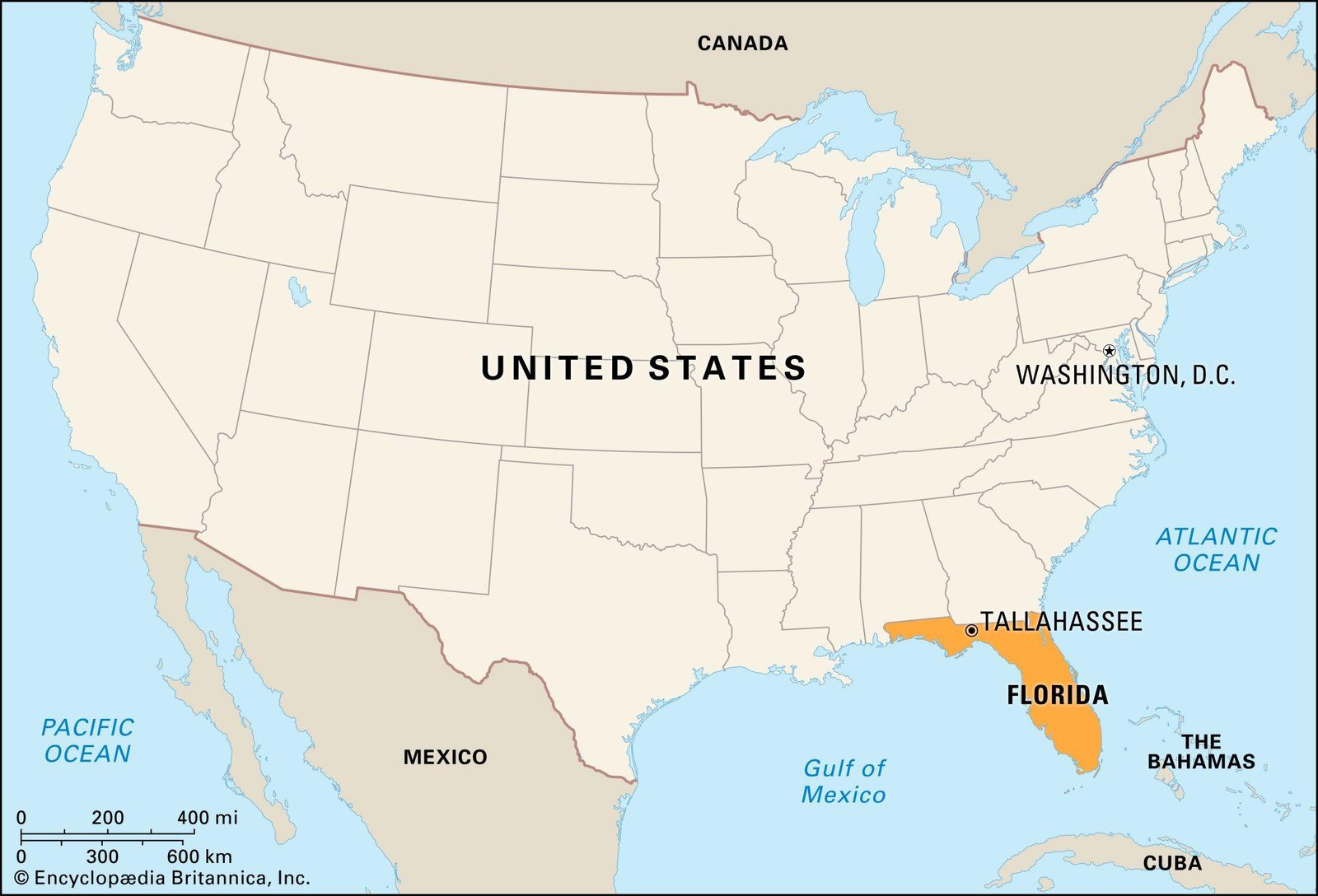 Taking a Closer Look at‍ Floridas Sustained Employment Success