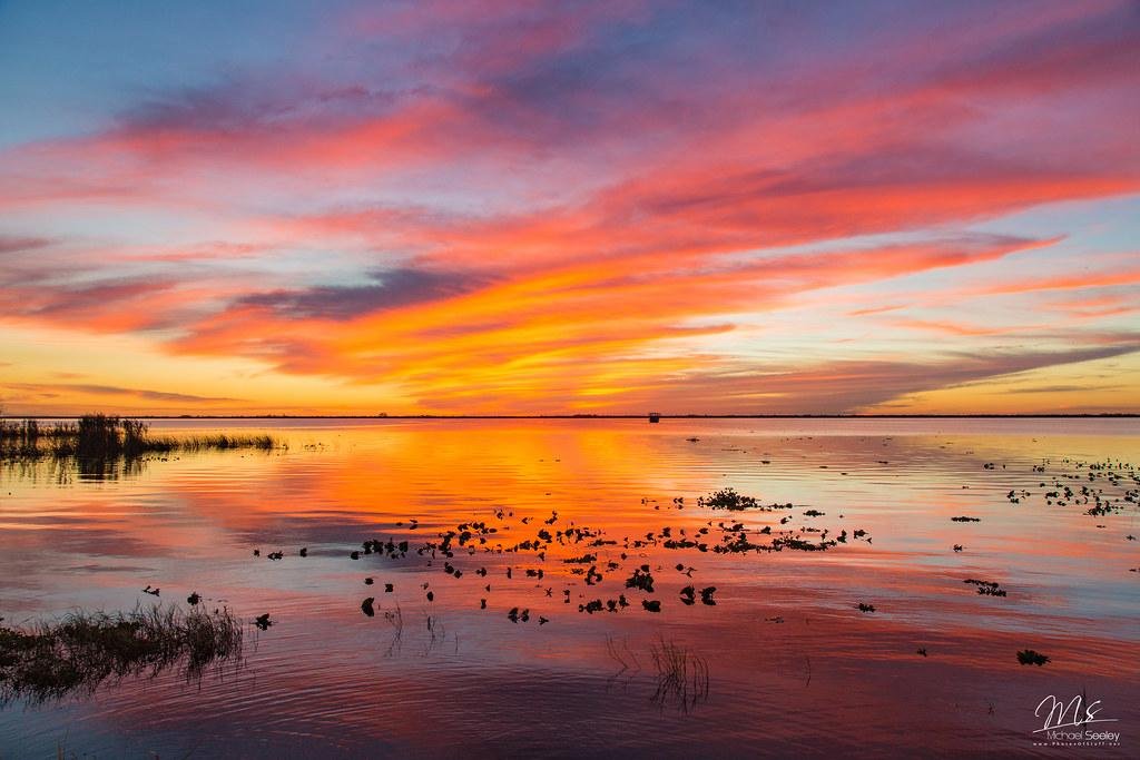 Understanding the⁣ Impact‌ of Space⁢ Coast Commons on Local Economy