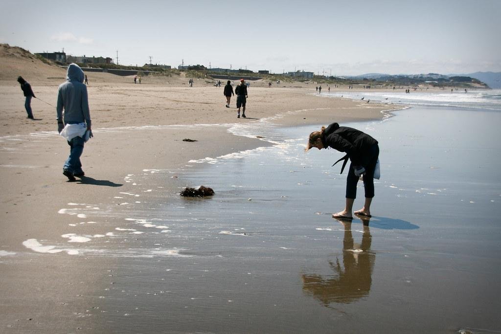 Strategies for Effective Beach Cleanups and Waste Reduction