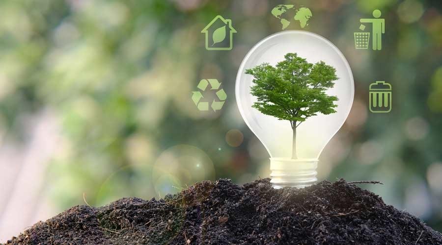 Environmental Impact: Building Sustainable Solutions for Marine Conservation