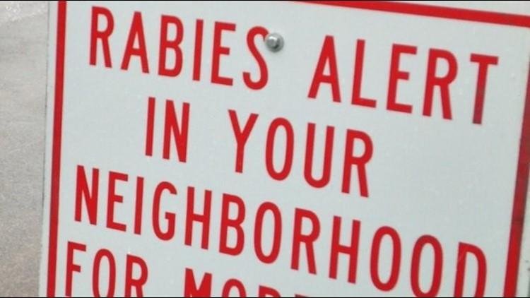 Rabies Alert and Its Implications for Public Health Safety