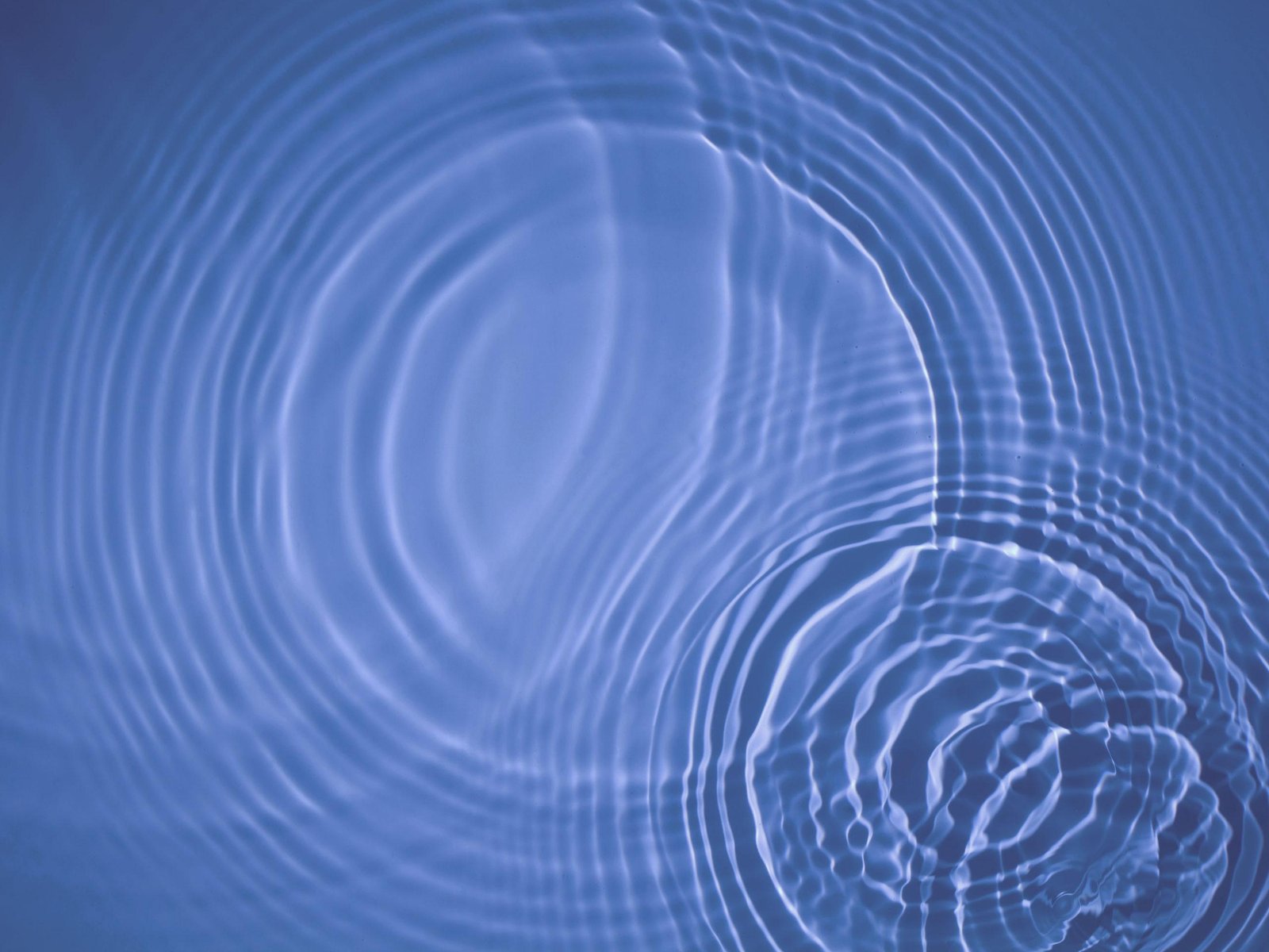 The Ripple ‌Effect: Community ‌Impact and Legal Ramifications