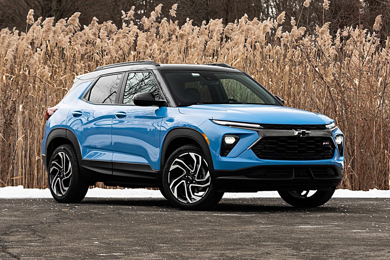 The Journey of a Trailblazer: From Space Coast to Eastern Florida State