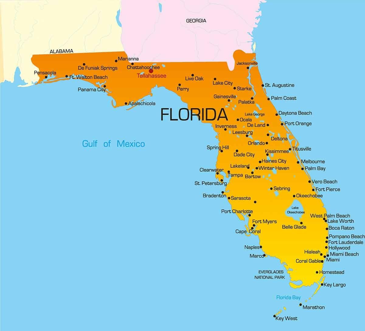 Key Players Driving⁣ Florida ‍Techs Success in ⁣Womens Soccer