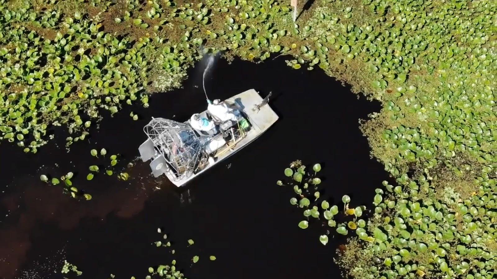 Understanding the⁢ Role of the Save Our Indian River Lagoon Committee
