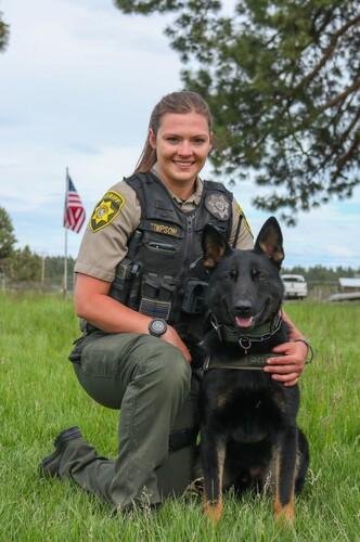 The Role of⁣ K9 Units in Drug Detection: Enhancing Law Enforcement Effectiveness