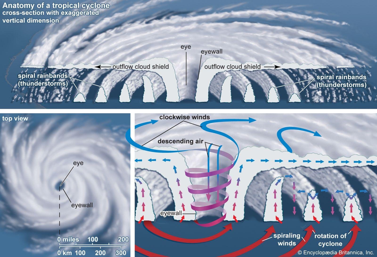 Captivating Cyclones: Understanding‌ the Meteorological Significance of Terras 2006 Capture