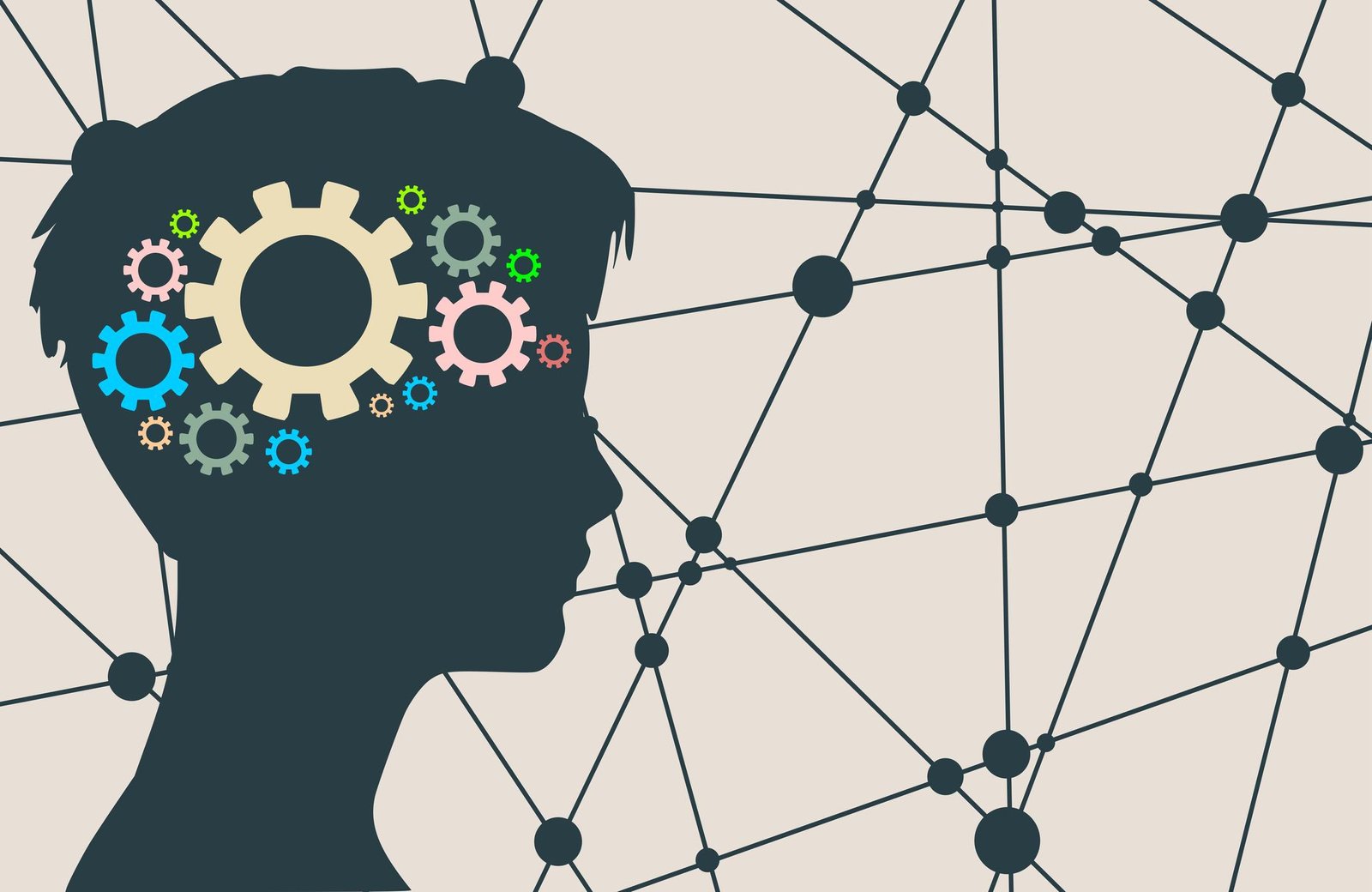 Recommended Preparations for Windy Conditions and UV Exposure