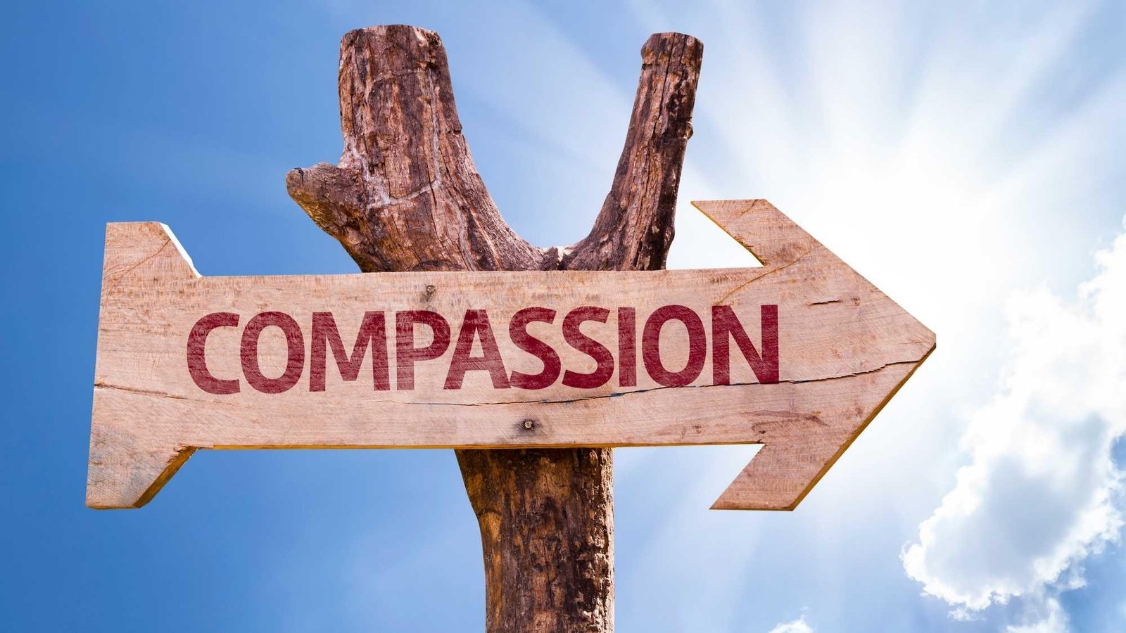 A Call for Compassion: Supporting Families of the Accused in Times of Crisis