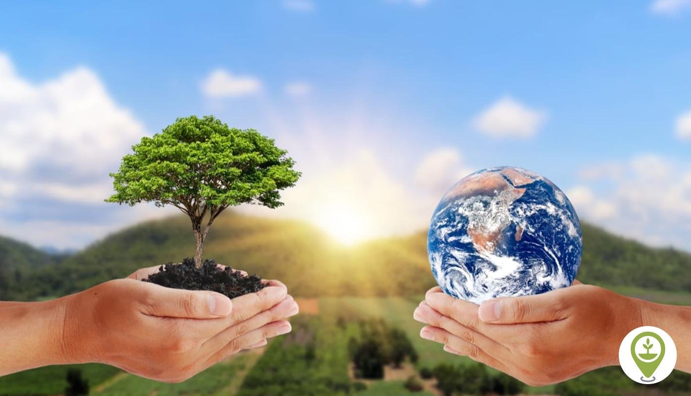 Conservation Efforts: A Deep Dive into Initiatives and Partnerships