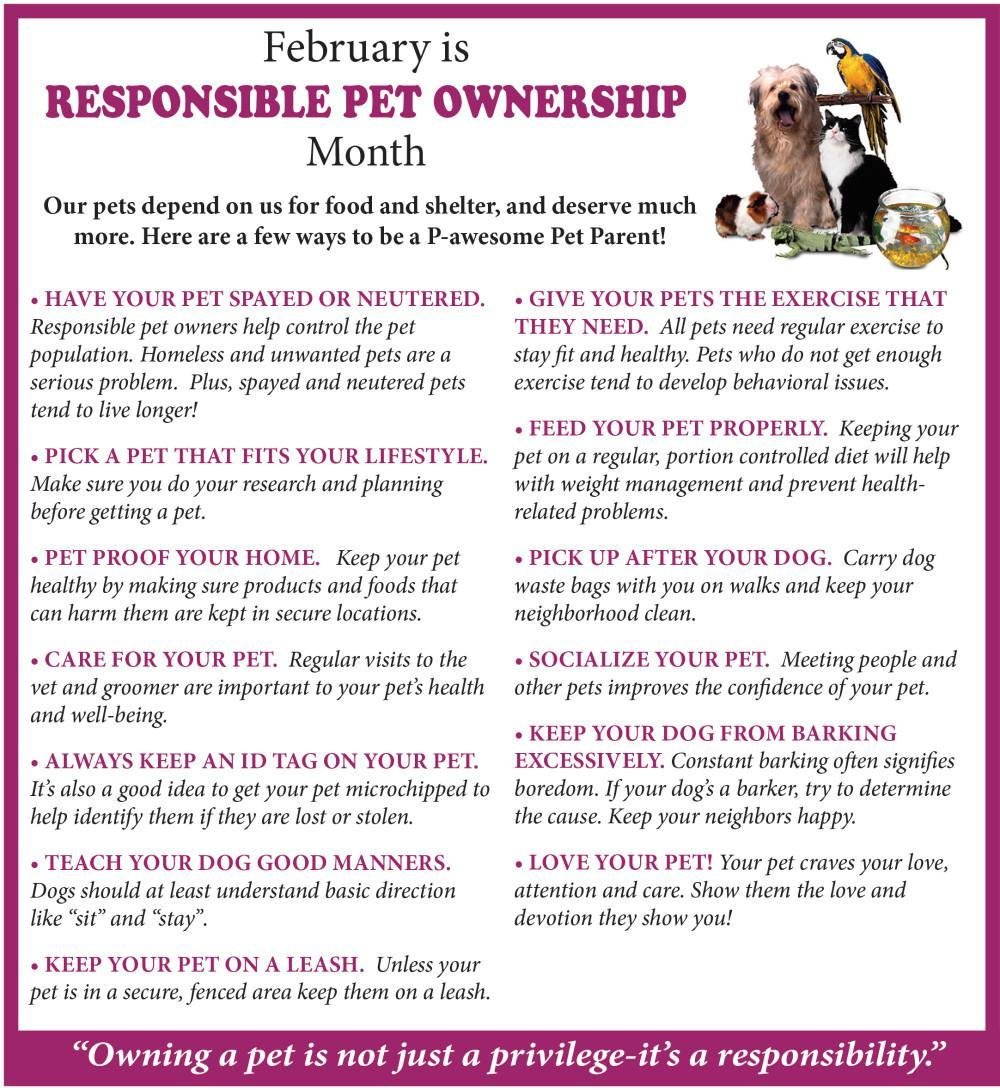 Promoting Responsible Pet ⁣Ownership: Lessons Learned from the Incident