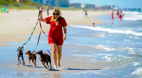 Satellite Beach City Council Unanimously Approves Trial Program Allowing Dogs on City Beaches