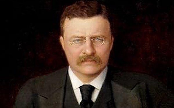 President Theodore Roosevelt Signed Executive Order Declaring Pelican Island First National Wildlife Refuge in 1903