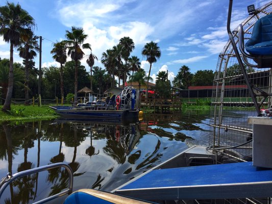 Black Hammock Adventures: A Thrilling Alligator Experience in Oviedo, FL