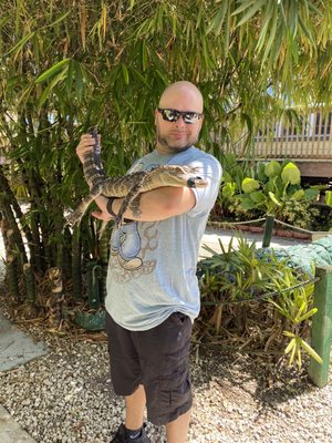 Black Hammock Adventures: A Thrilling Alligator Experience in Oviedo, FL