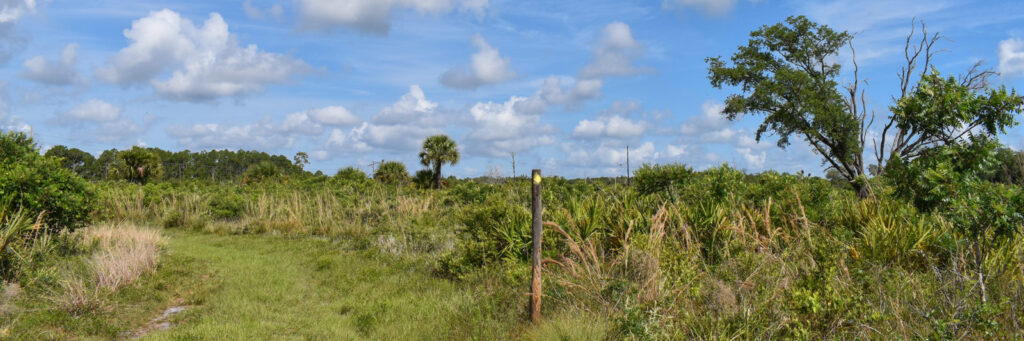 Buck Lake Conservation Area - A Tranquil Escape in Mims, FL