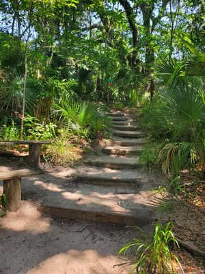 Enchanted Forest Sanctuary: A Peaceful Hiking Experience in Titusville, FL