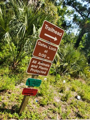 Enchanted Forest Sanctuary: A Peaceful Hiking Experience in Titusville, FL