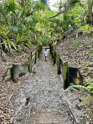 Enchanted Forest Sanctuary: A Peaceful Hiking Experience in Titusville, FL