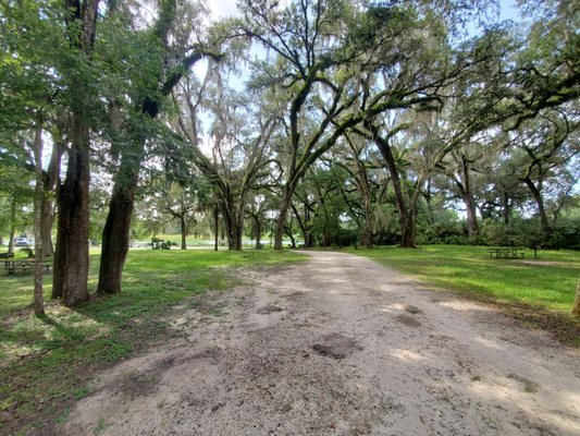 Katies Landing State Park - A Hidden Gem in Sanford, FL