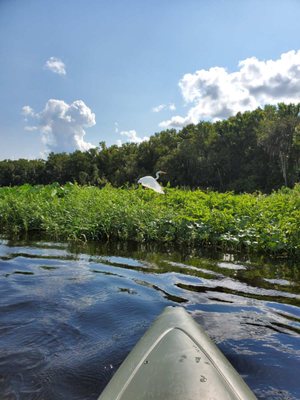 Katies Landing State Park - A Hidden Gem in Sanford, FL