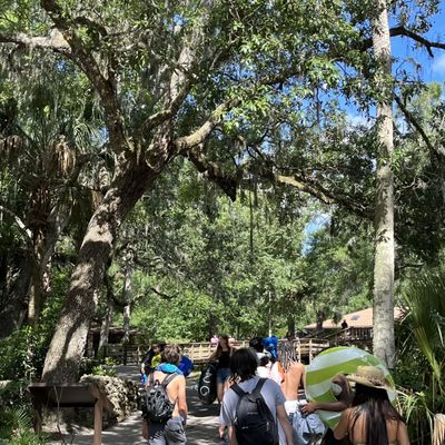 Kelly Park: A Delightful Outdoor Experience in Apopka, FL