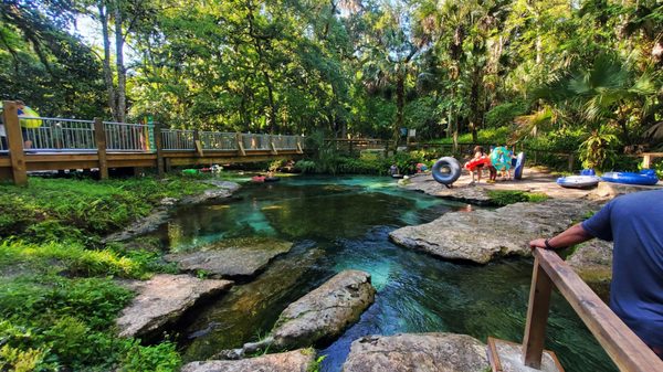 Kelly Park: A Delightful Outdoor Experience in Apopka, FL