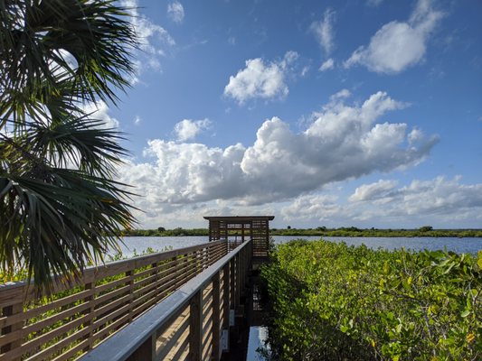 Merritt Island National Wildlife Refuge: A Scenic Nature Drive at Titusville, FL