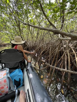 Rivers to Ocean Kayaking: A Thrilling Adventure in Fort Pierce, FL