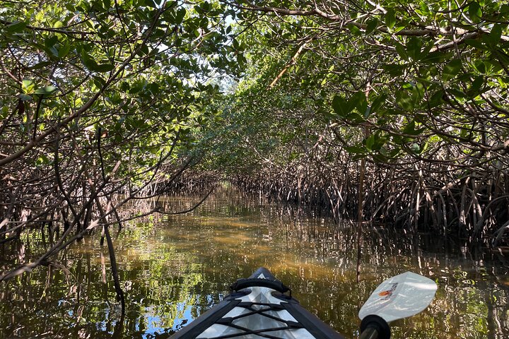 Rivers to Ocean Kayaking: A Thrilling Adventure in Fort Pierce, FL