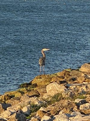 Sebastian Inlet State Park: A Coastal Paradise in Melbourne Beach, FL