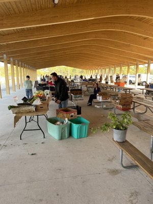 Brevard County Farmers Market - Fresh Produce and Local Vendors