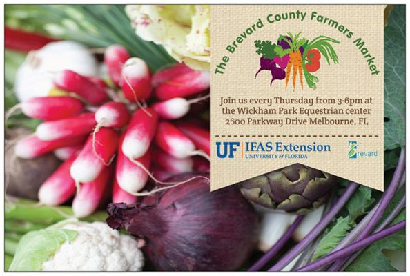 Brevard County Farmers Market - Fresh Produce and Local Vendors