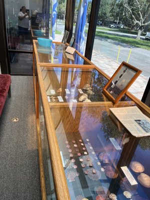 Brevard Museum of History  Natural Science: Discover the Rich History and Natural Wonders of Cocoa, FL
