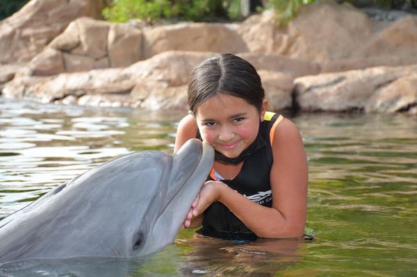 Discover the Magic of Discovery Cove in Orlando, FL