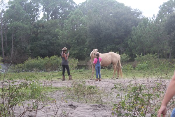 Experience the Beauty of Old Florida on Horseback Trail Rides