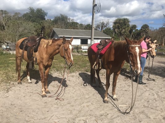 Experience the Beauty of Old Florida on Horseback Trail Rides
