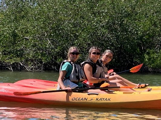 Fin Expeditions: Experience an Unforgettable Bioluminescence Tour in Cocoa Beach, FL