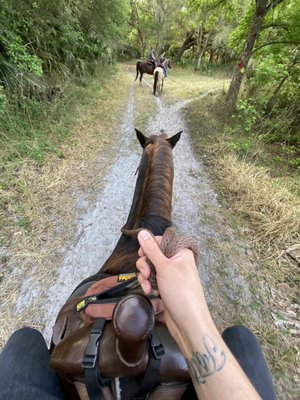 Hidden Palms Ranch: A 5-Star Horseback Riding Experience in Sanford, FL