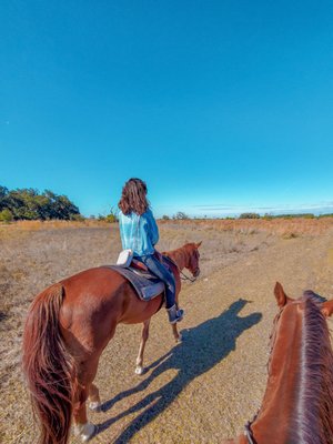 Lazy H Ranch: A Serene Horseback Riding Experience in Kissimmee, FL