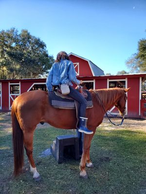 Lazy H Ranch: A Serene Horseback Riding Experience in Kissimmee, FL