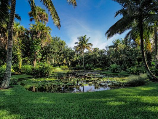 McKee Botanical Garden: A Natural Oasis in Vero Beach, FL