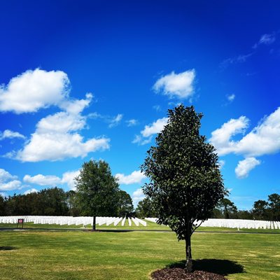 Cape Canaveral National Cemetery - Honoring Our Heroes