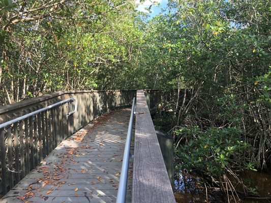 Lagoon Greenway in Vero Beach, FL: A Scenic Oasis for Hiking and Nature Enthusiasts