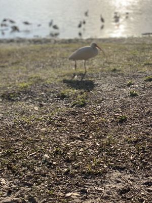 Explore Trotwood Park in Winter Springs, FL