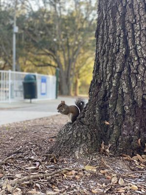 Explore Trotwood Park in Winter Springs, FL