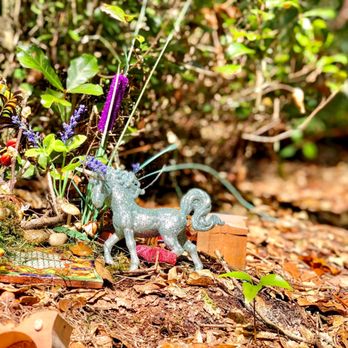 Horseshoe Park And Fairy Trail - A Picturesque Outdoor Escape in Lake Helen