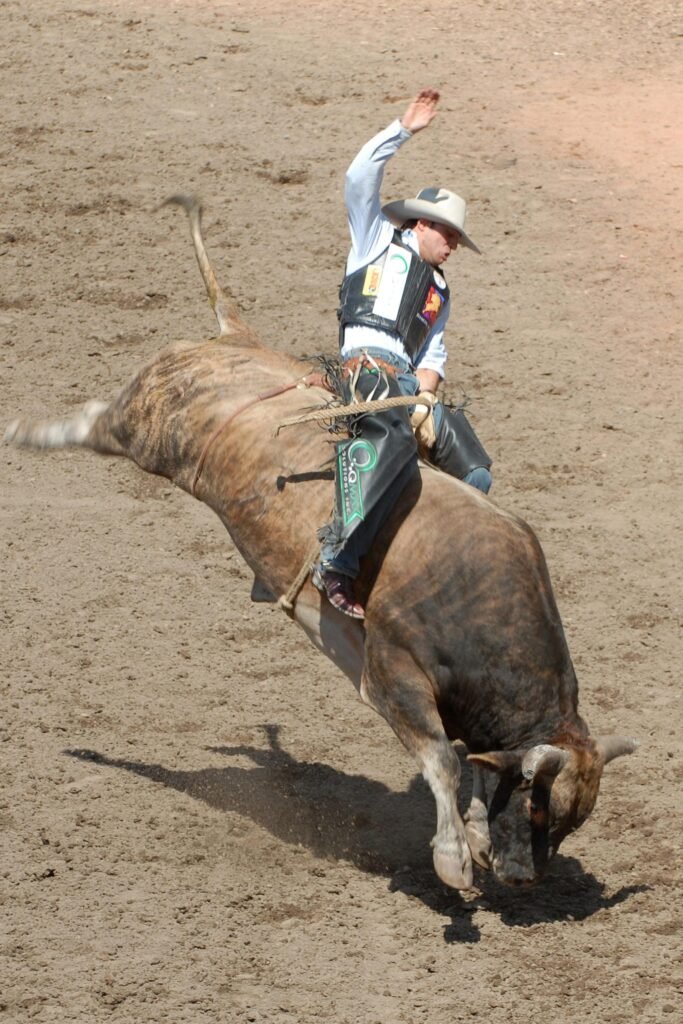 THRILLING BULLRIDING! Kick Up Your Spurs This Weekend at the Space Coast State Fair in Viera