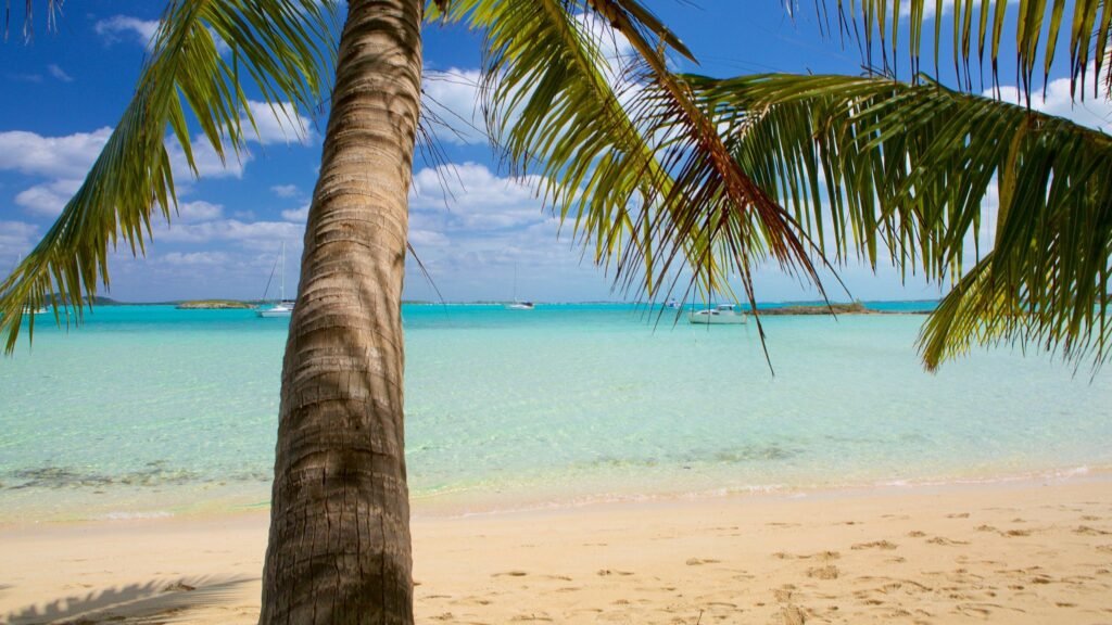 Palm Bay Man Arrested After Shooting at His Girlfriend in West Melbourne Apartment Complex